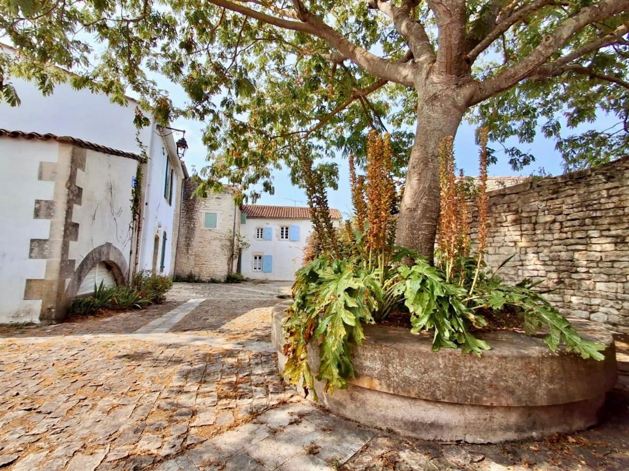 Le Nid Flottais Apartment La Flotte Bagian luar foto